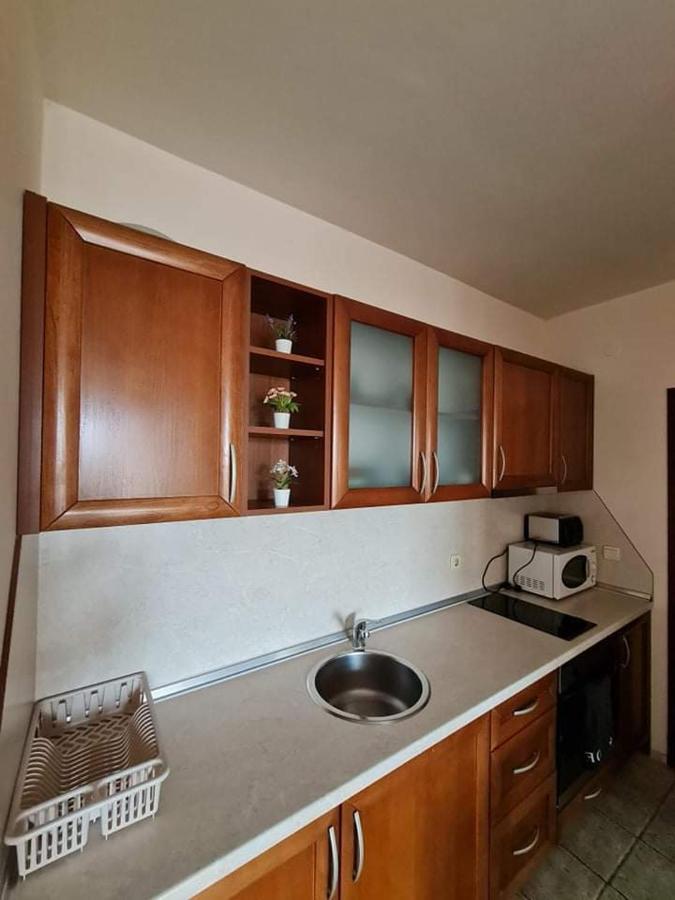 Edelweiss Inn Aparthotel, Apartment 32 班斯科 外观 照片